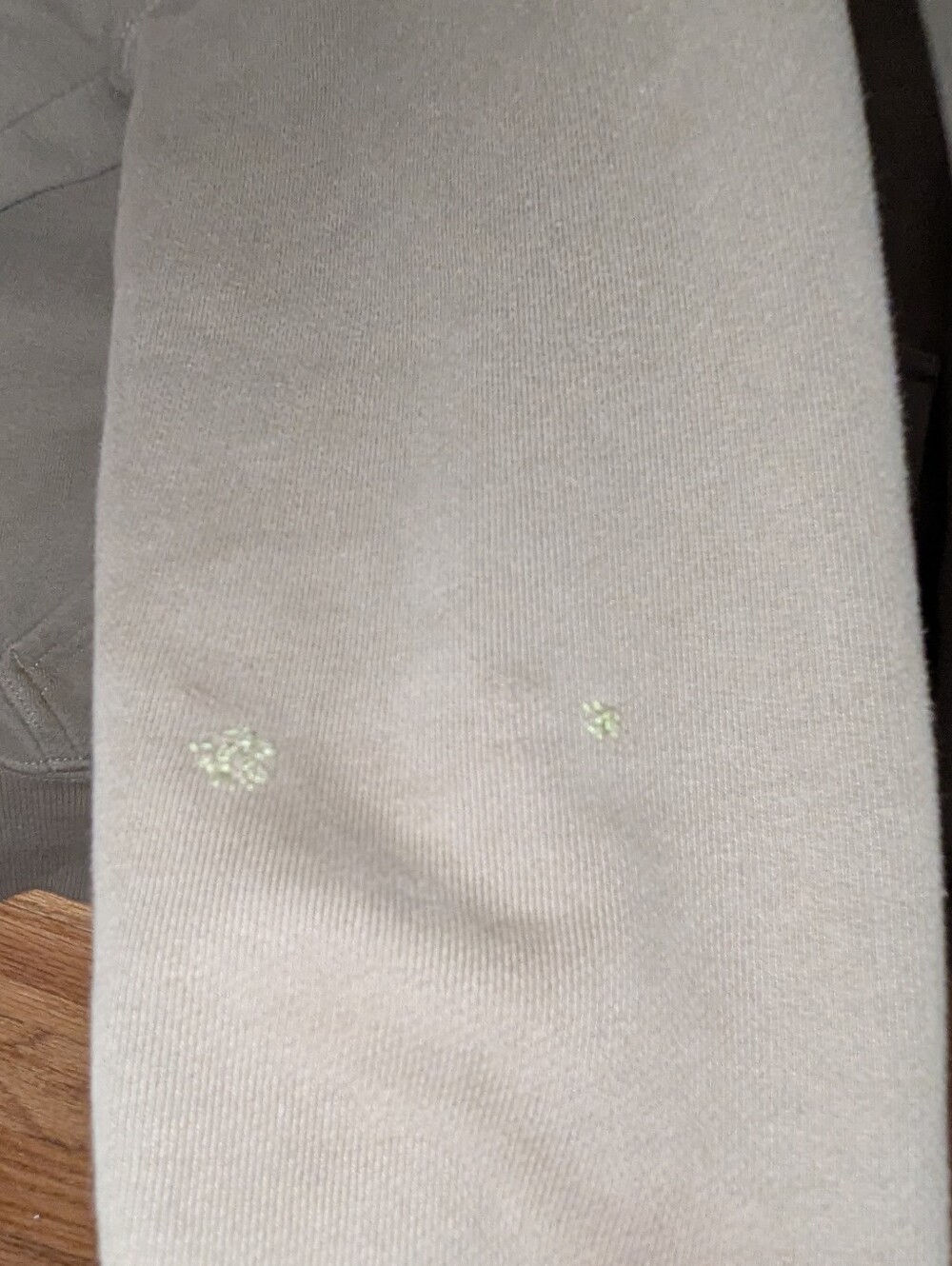 Aritzia Perfect Sweat fleece Hoodie In Sun-dried Olive Limited Edition Color - Picture 4 of 4